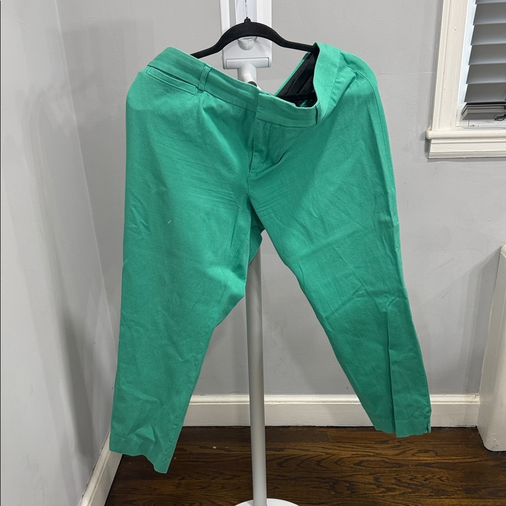 Woman’s Banana Republic Sloan Teal Pants
